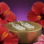 Load image into Gallery viewer, 925 Silver Moonstone Dangle Earrings for Women | Boho Jewelry