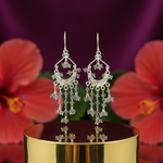 Load image into Gallery viewer, 925 Silver Labradorite Dangle Earrings for Women | Gift