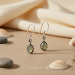 将图像加载到图库查看器中, 925 Silver Moonstone Drop Earrings for Women | Daily Wear Gift