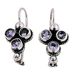 将图像加载到图库查看器中, 925 Silver Amethyst Drop Earrings for Women | Gemstone Jewelry