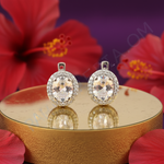 Load image into Gallery viewer, 925 Silver Cubic Zirconia Halo Earrings for Women | Gift