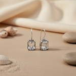 将图像加载到图库查看器中, 925 Silver Cubic Zirconia Drop Earrings for Women | Gift