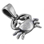 将图像加载到图库查看器中, 925 Silver Crab Pendant Necklace | Animal Jewelry for Women
