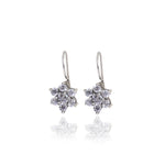 将图像加载到图库查看器中, 925 Silver Flower Earrings | Cubic Zirconia | Women's Jewelry
