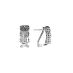 将图像加载到图库查看器中, Silver Cubic Zirconia Leverback Earrings | Elegant Women's Jewelry