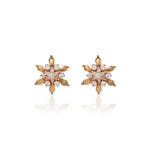 将图像加载到图库查看器中, gold plating Floral Stud Earrings with Diamonds | Women's Jewelry Gift