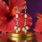 Load image into Gallery viewer, 925 Silver Stone Drop Earrings | Women&#39;s Elegant Jewelry
