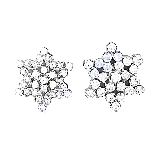 Exclusive Star Style Cubic Zirconia Gemstone Silver Earrings