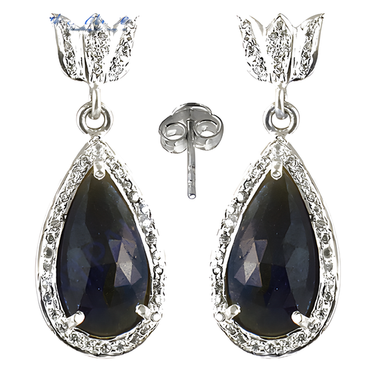 Hot Dazzaling Cz & Sapphire Silver Earring