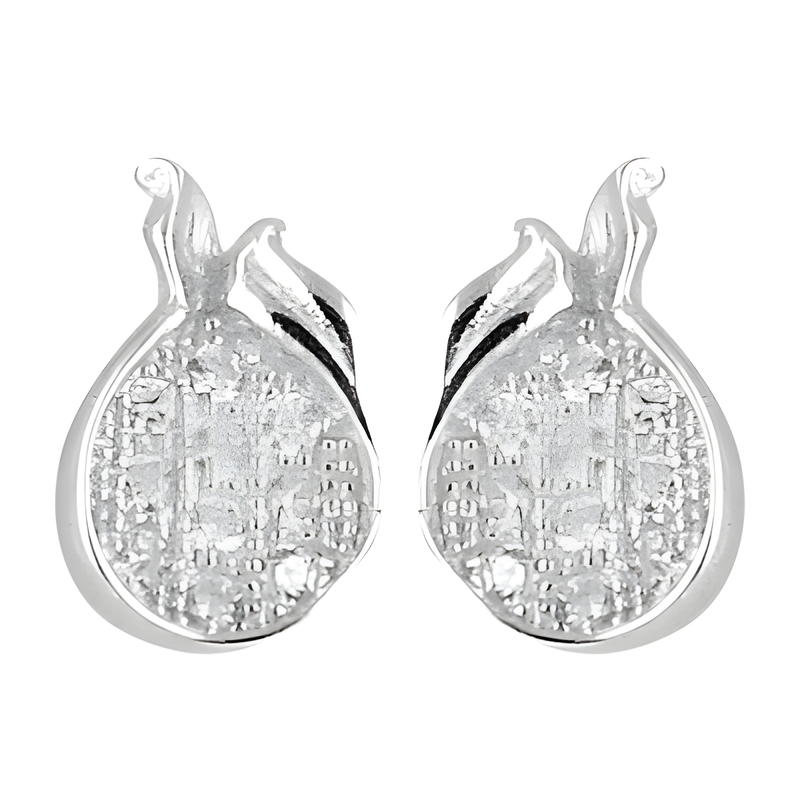 Fashionable Cubic Zirconia Silver Earring