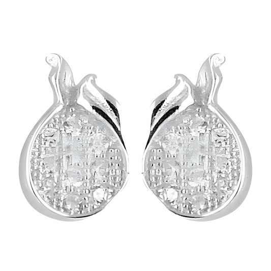 Fashionable Cubic Zirconia Silver Earring