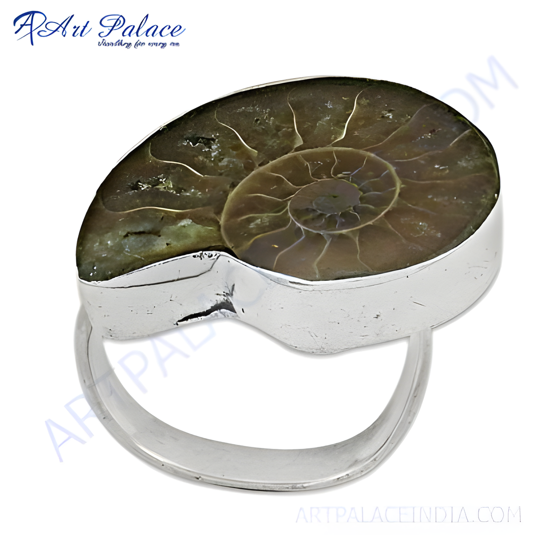 Sterling silver ring featuring a polished ammonite fossil with spiral patterns.