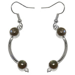 将图像加载到图库查看器中， Silver Labradorite Earrings for Women | Dangle Jewelry Gift
