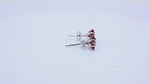 Load and play video in Gallery viewer, 925 Silver Red Gemstone Stud Earrings for Women | Gift Jewelry
